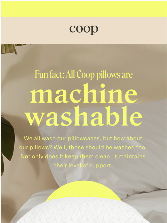 Coop pillow wash best sale