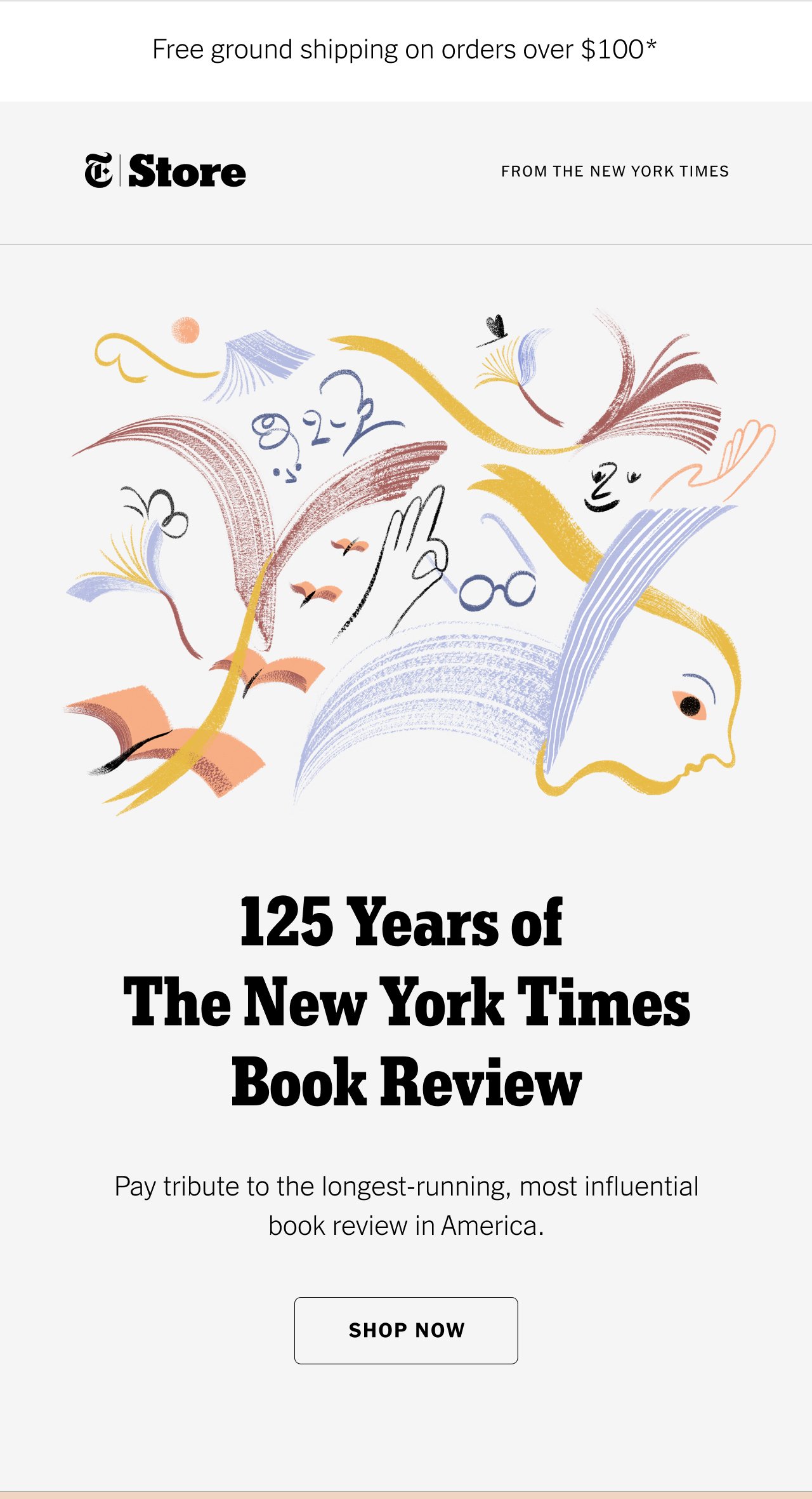 New York Times Book Review 125th Anniversary Tote Bag – The New