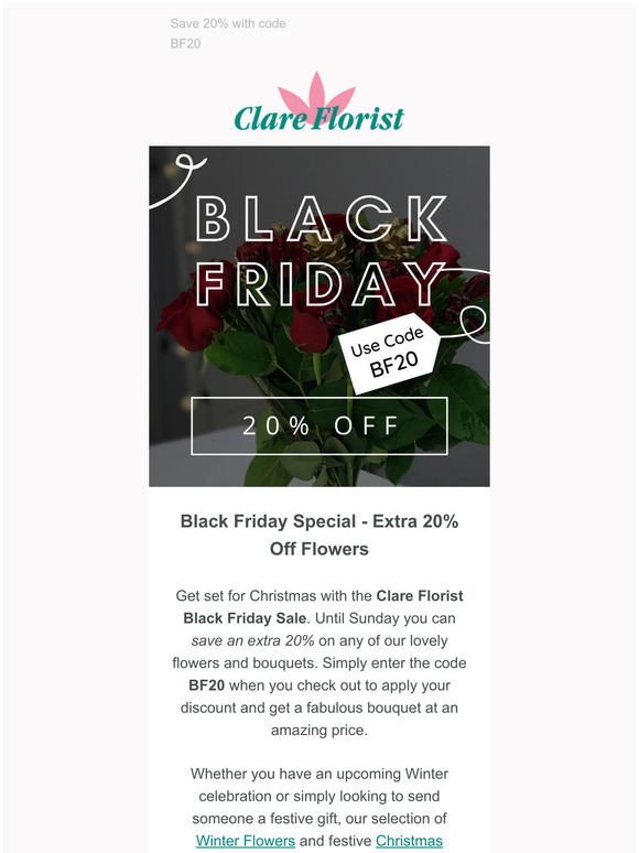 Black Friday Week Sale: 20% off Everything