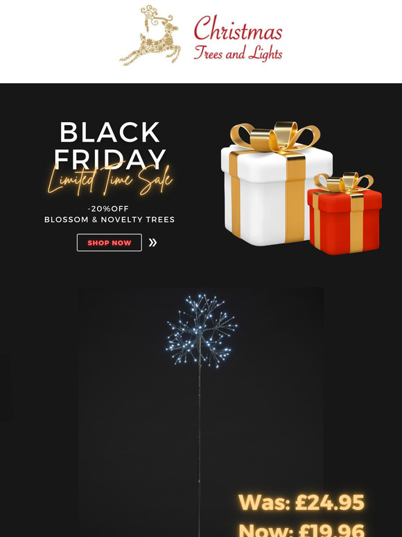 Black Friday Offer - 20% OFF Blossom&Novelty Trees!
