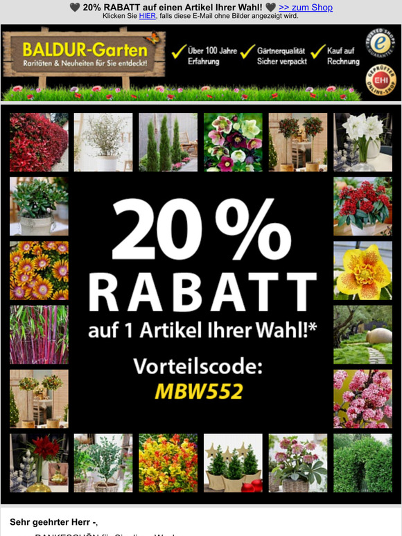 BALDURGarten KOO 20 RABATT auf einen Artikel Ihrer Wahl! Milled