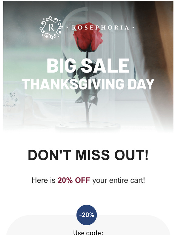 Don't miss out, 20% OFF