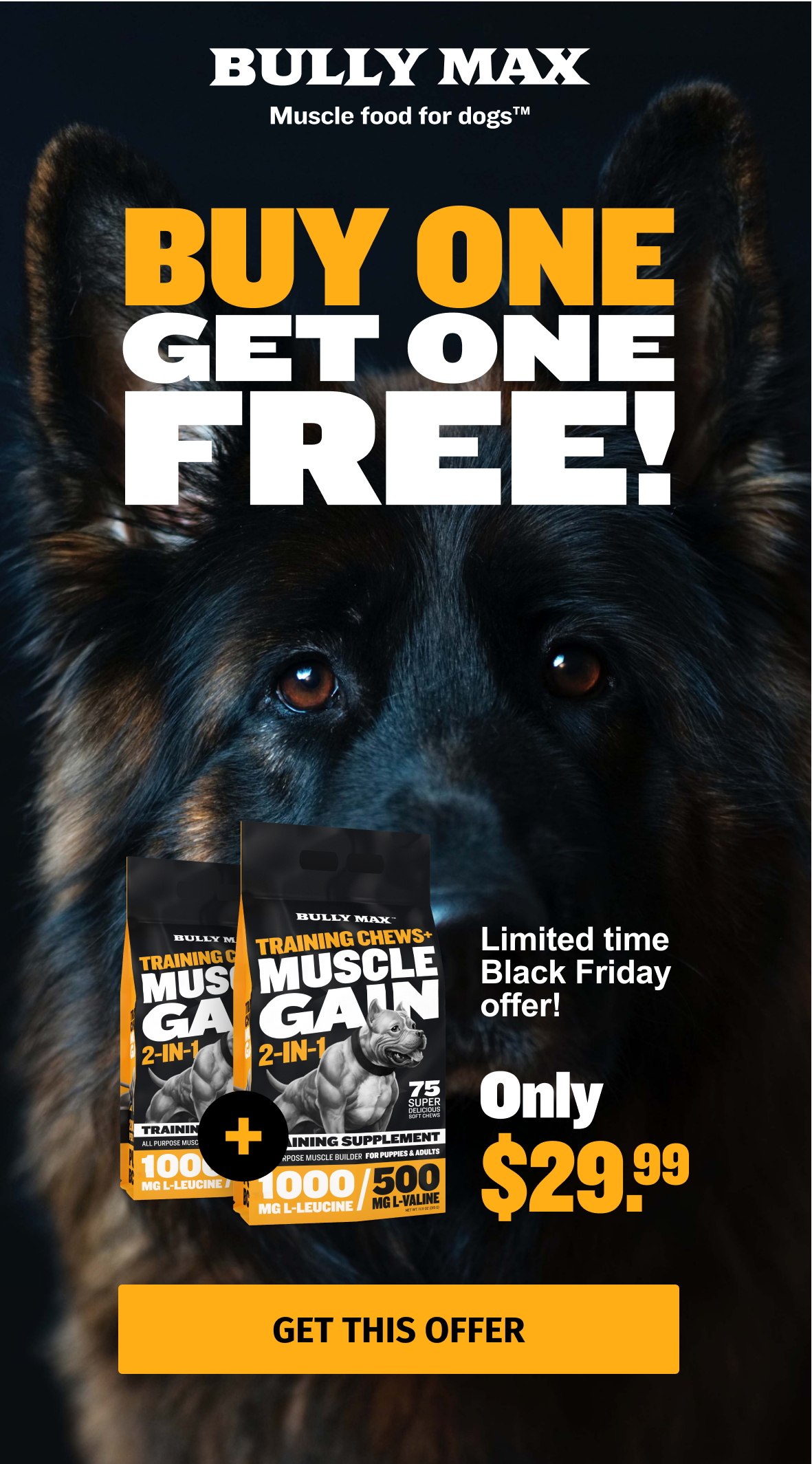 bully max black friday