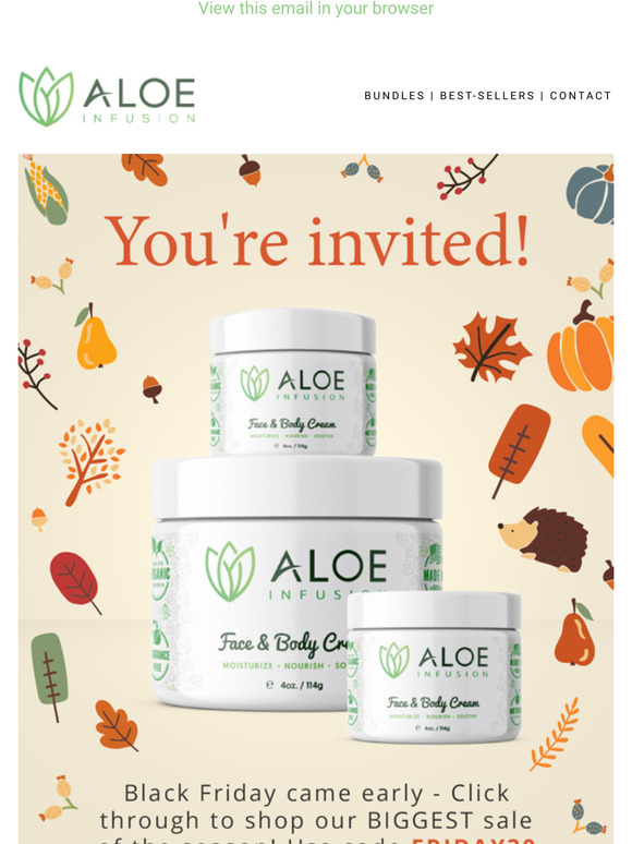 BLACK FRIDAY - SAVE 30% OFF! 