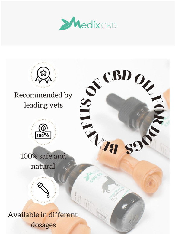 Medix has gone to the dogs!!