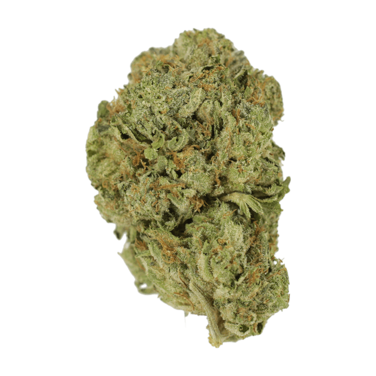 Image of Super Skunk