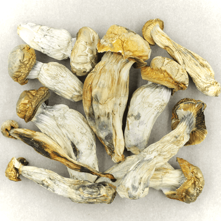 Image of Melmac
