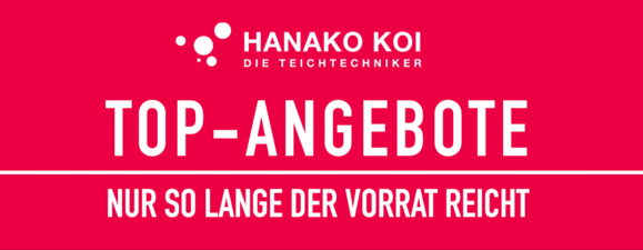 Top-Angebote