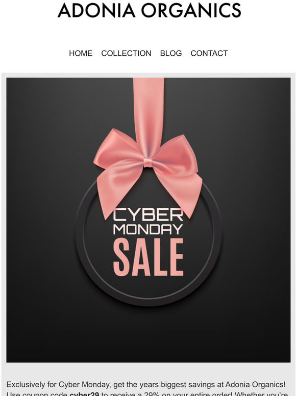 CYBER MONDAY PROMO - 29% OFF EVERYTHING! 