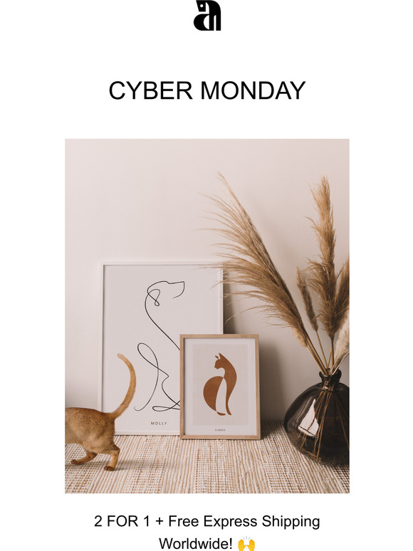  2 For 1 this Cyber Monday 