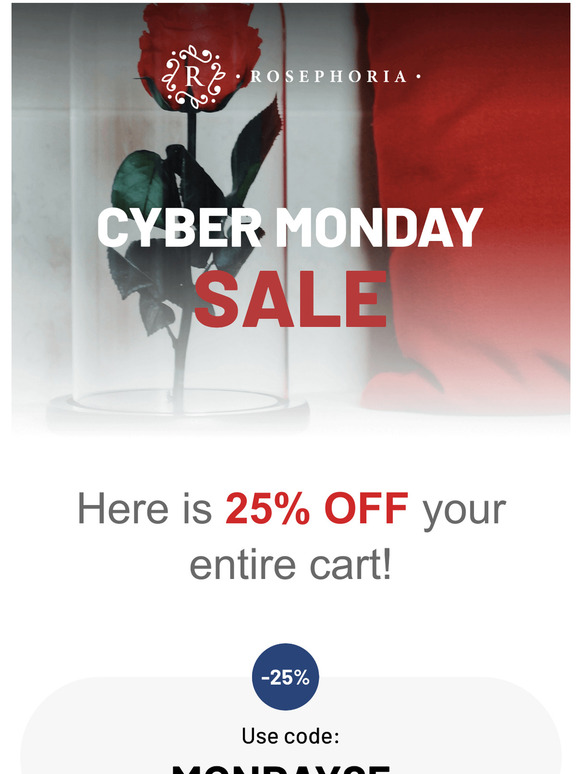 Cyber Monday: 25% off