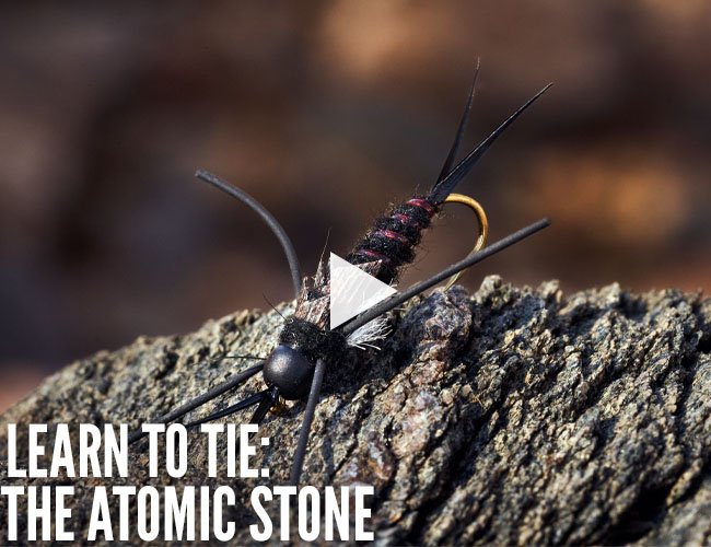 AvidMaxOutfitters.com: Check Out This Heavyweight Stonefly Pattern, The  Atomic Stone