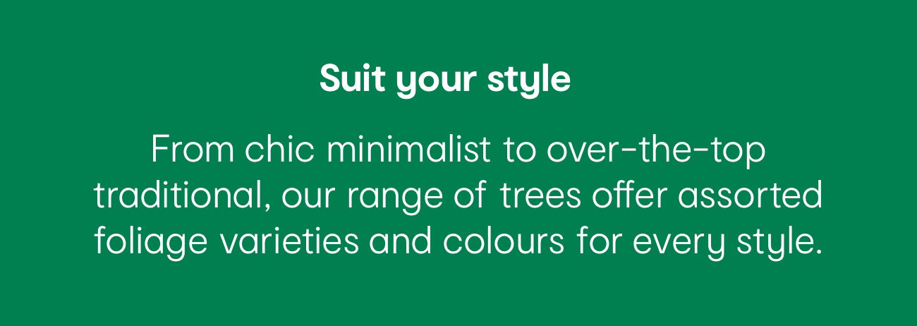 Suit your style. From chic minimalist to over-the-top
traditional, our range of trees offer assorted foliage varieties and colours for every style.