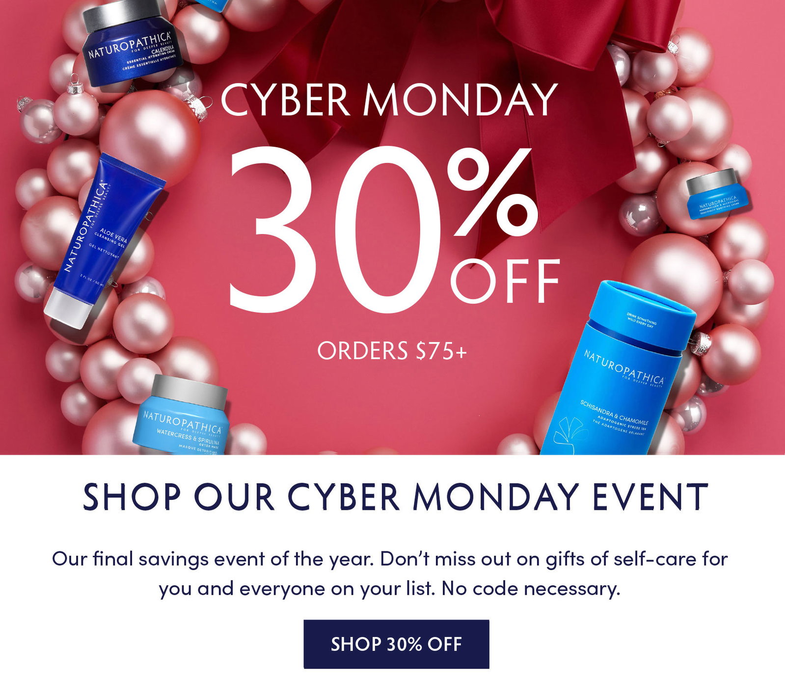30% OFF CYBER MONDAY