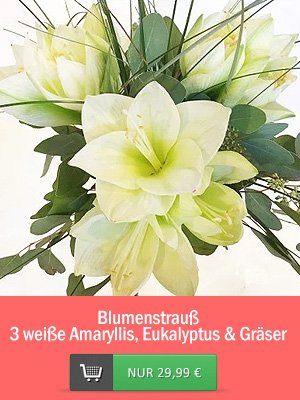 Blumenstrauß 3 weiße Amaryllis