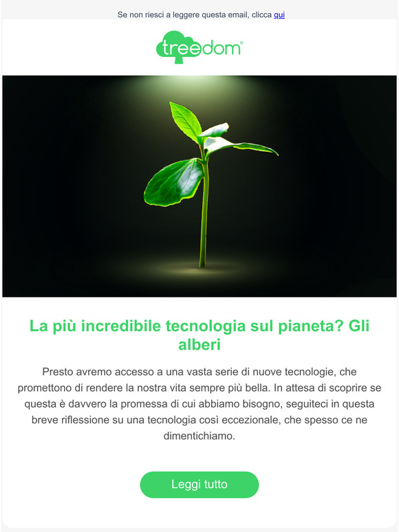 -dal blog di Treedom: news, analisi, curiosit e reportage