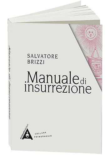 ilgiardinodeilibri.it: (Novit) Salvatore Brizzi: Manuale di Insurrezione  Per trovare la pace interiore