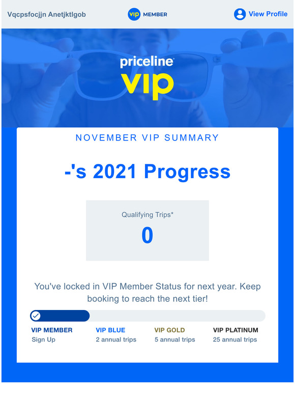 Priceline Enclosed Your November VIP Summary Milled