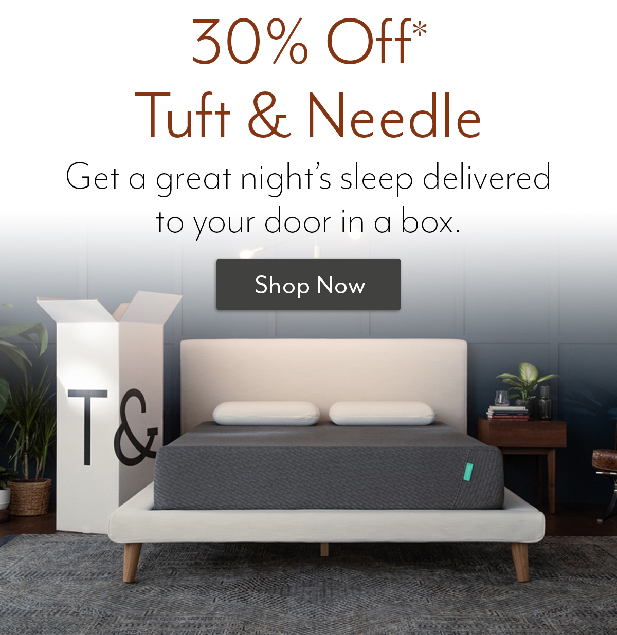 tuft and needle 30 off