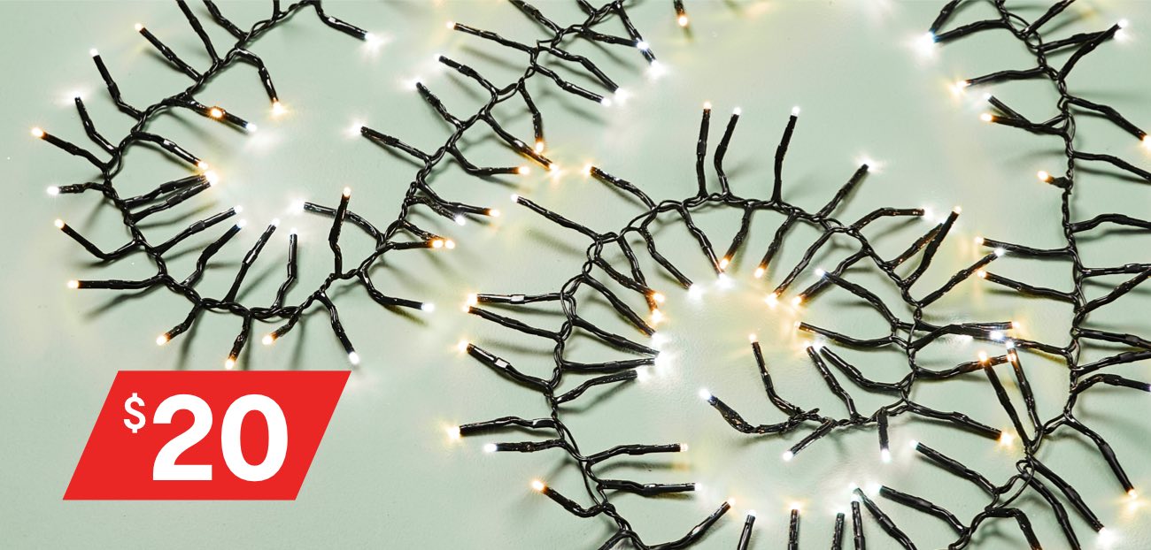 Low voltage 300 white cluster lights $20.