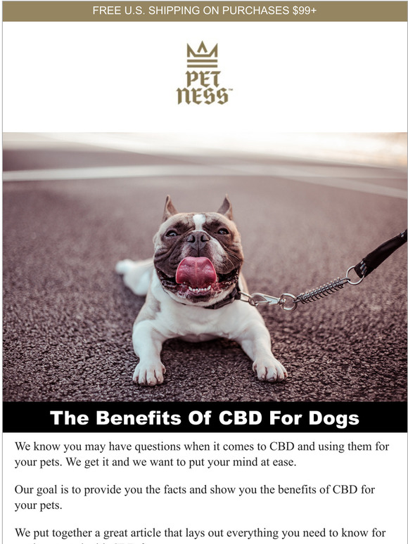 Is CBD good for your pet?