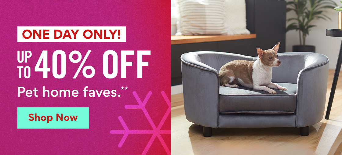 One Day Only! | Up to 40% off pet home faves.** | Shop Now