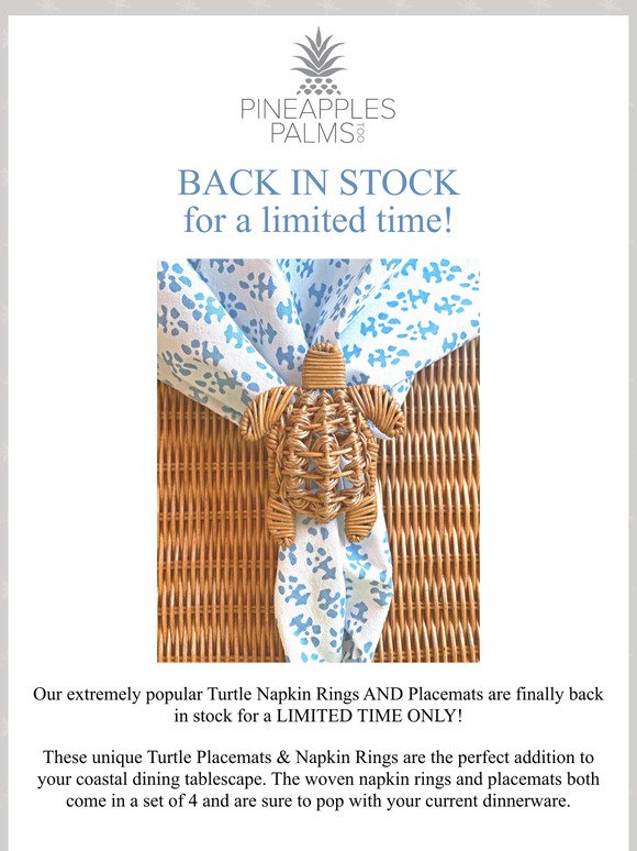 BACK IN STOCK! Turtle Napkin Rings & Placemats