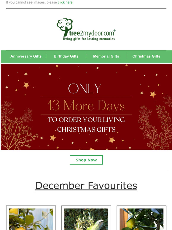 Act Fast! December's Here