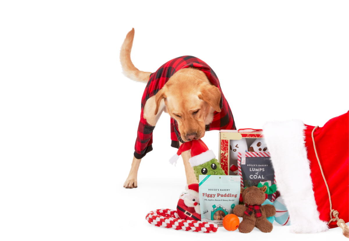 PETCO Introducing shop now, pay later with Klarna. Milled