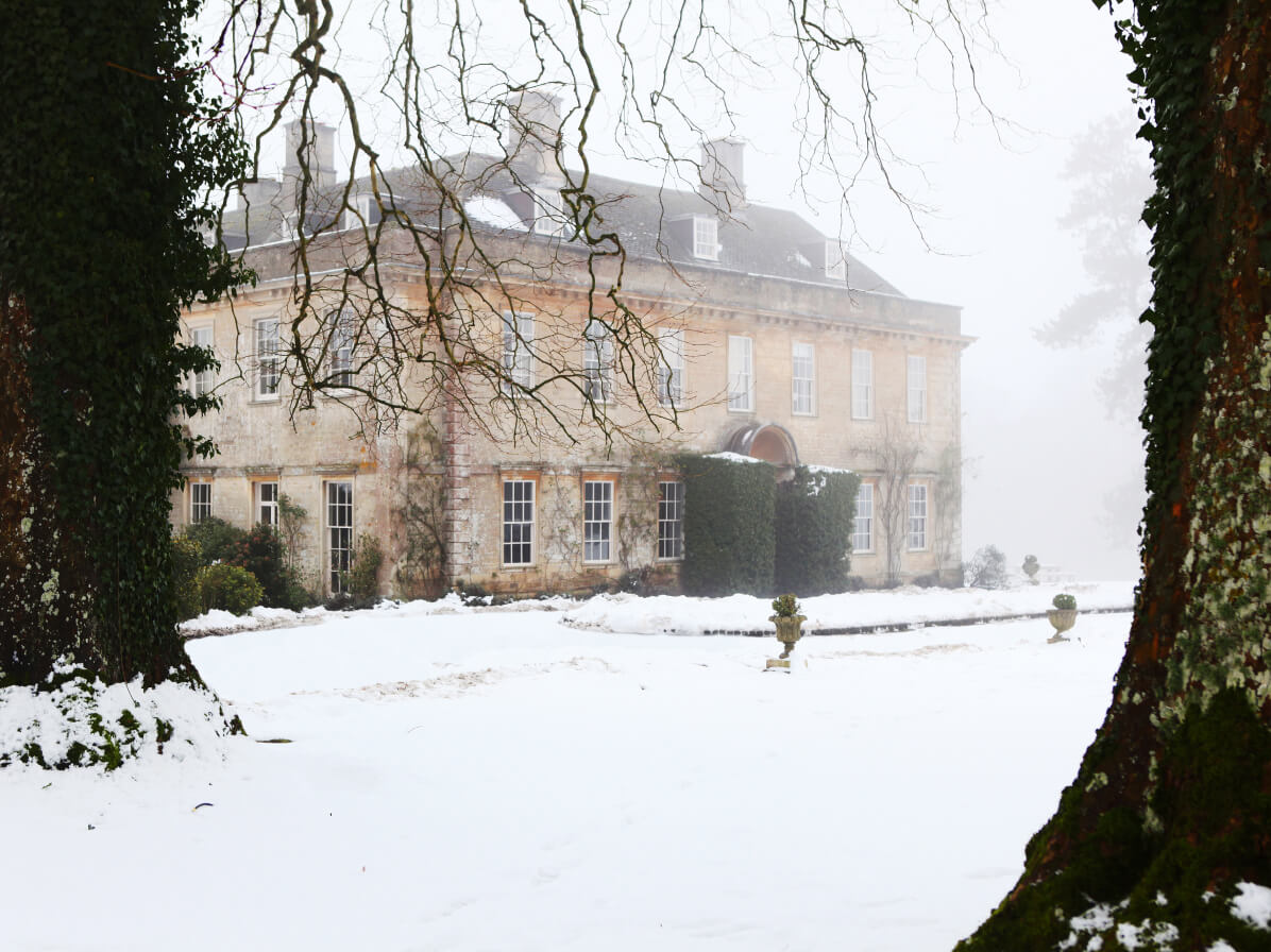 House Tip: Babington’s holiday recipes