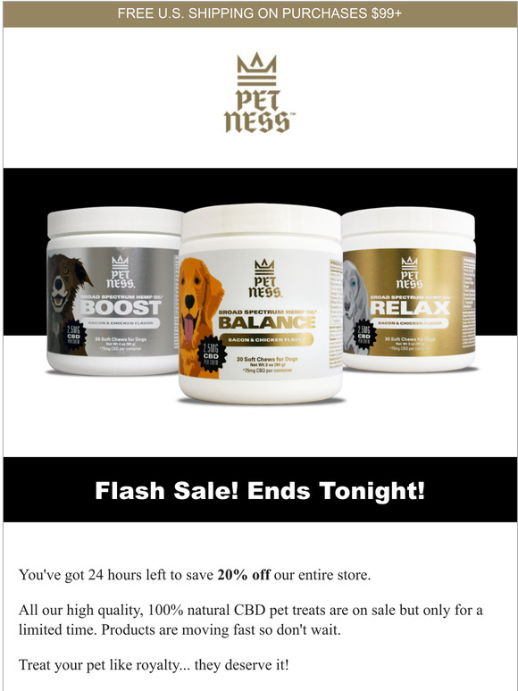 Last chance to save!