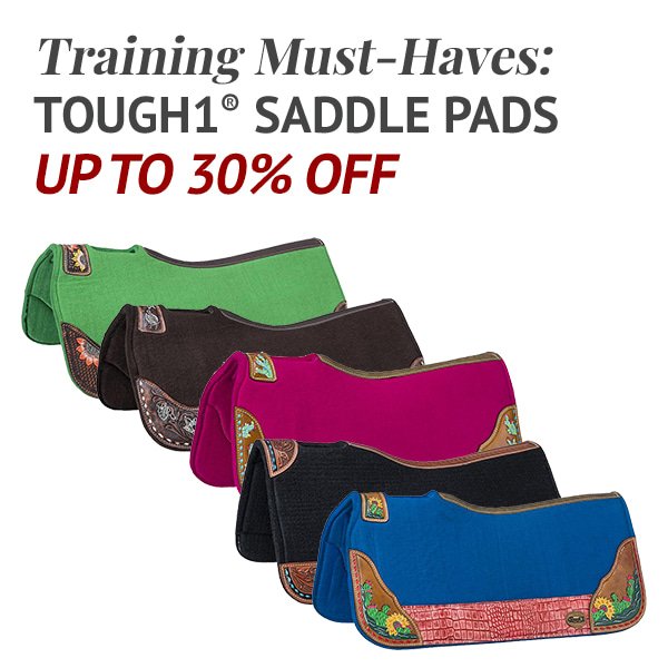 Training Must-Haves: Tough1® Saddle Pads