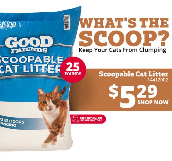 zoo med basking lamp