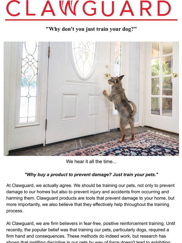Shouldn't we just be training our pets?