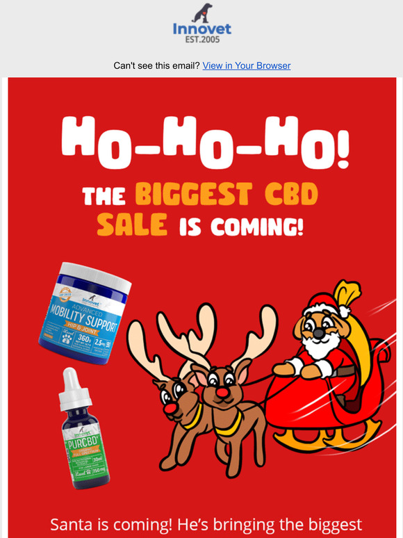 Innovet Christmas Sale 2021 