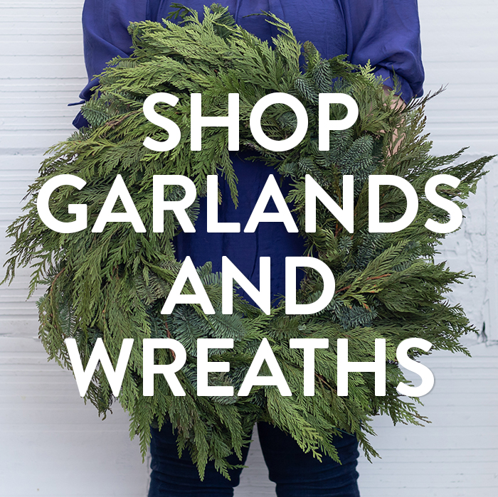 Farmgirl Flowers claus for effect Milled