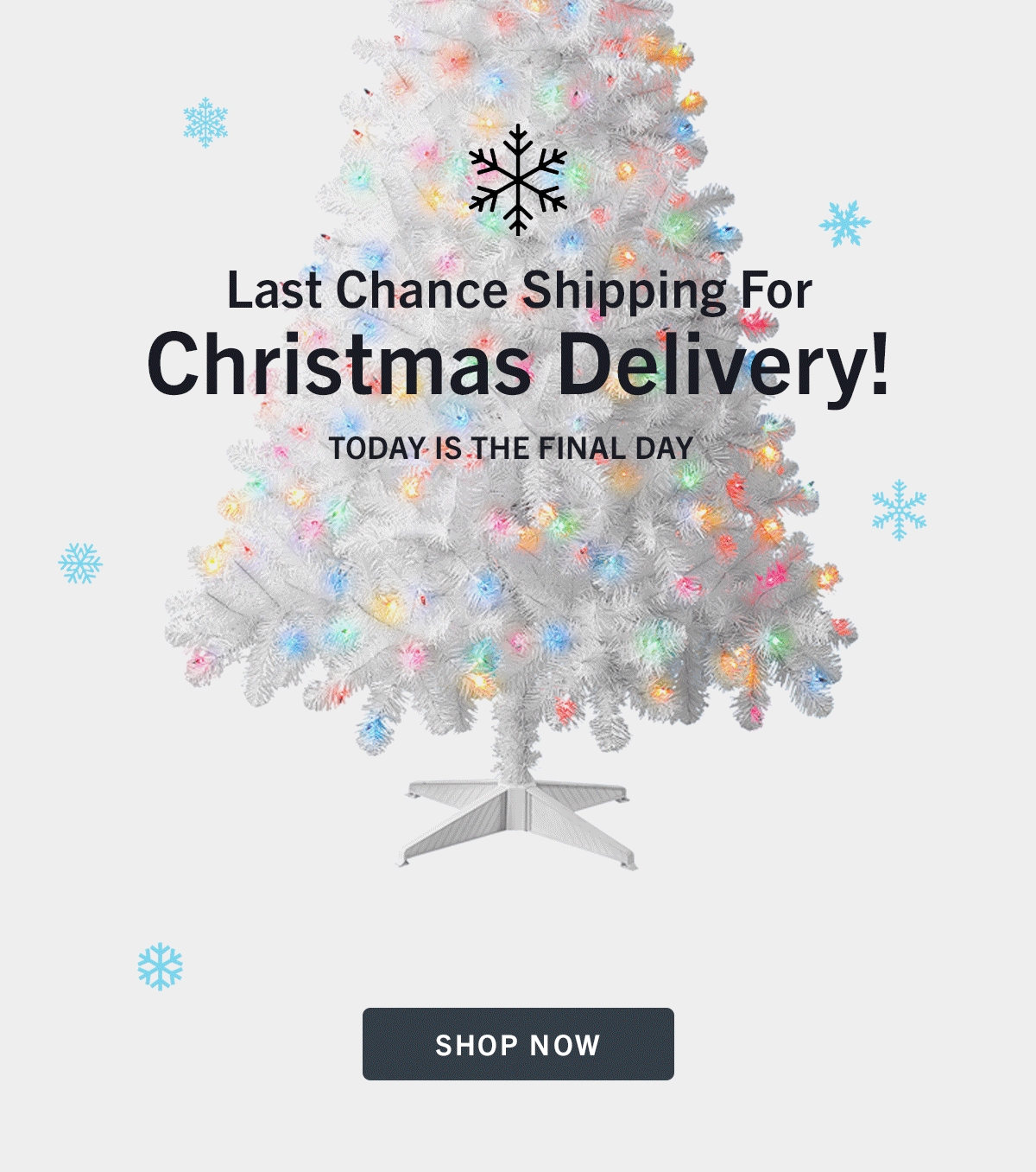 Last Chance Shipping For Christmas Deliver! Today is the final day