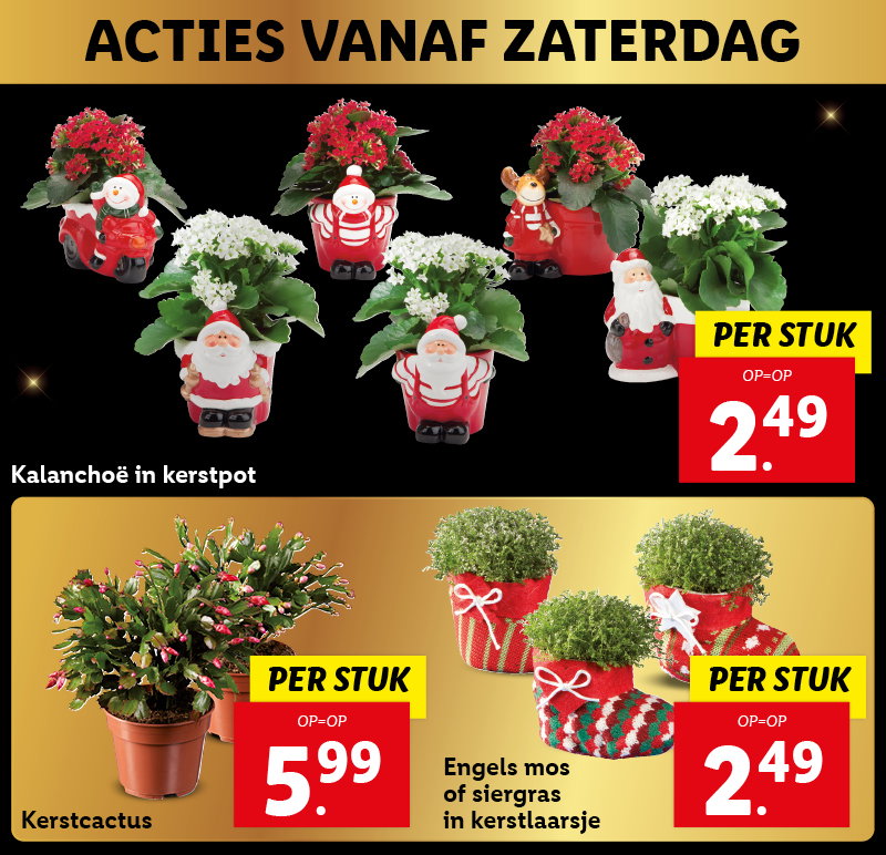 Bloemen en planten