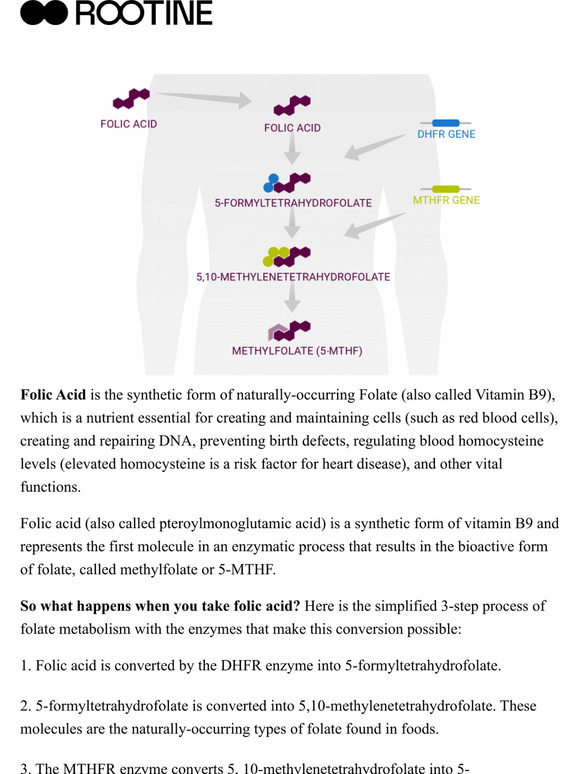 Rootine What happens when you take folic acid? Milled