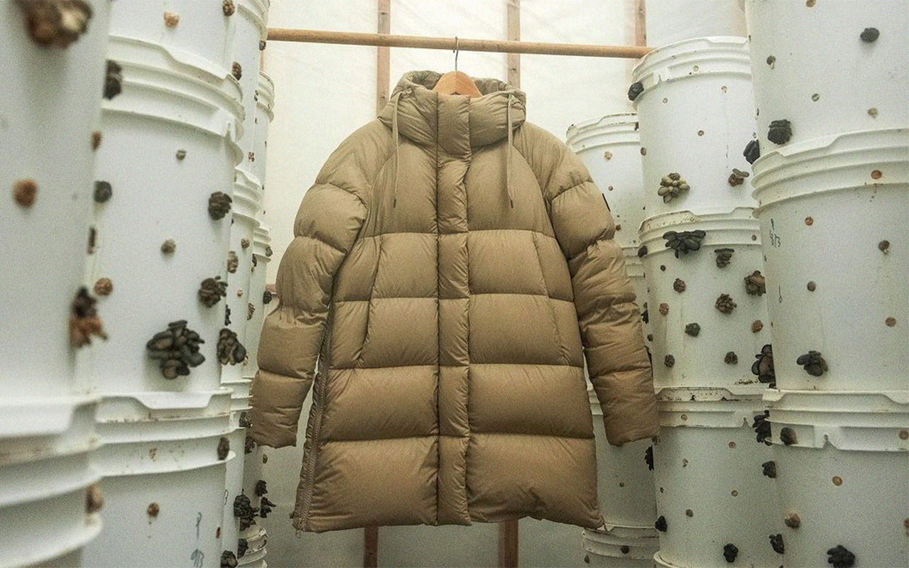 Canada goose or outlet kanuk