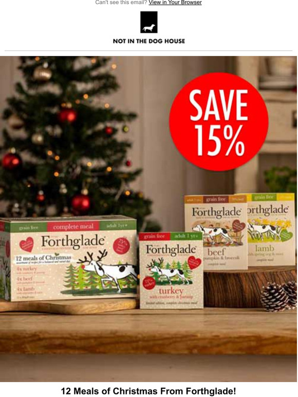 Feeling Festive with 15% Off.... 