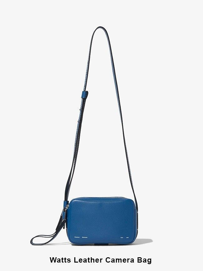 small blue crossbody bag