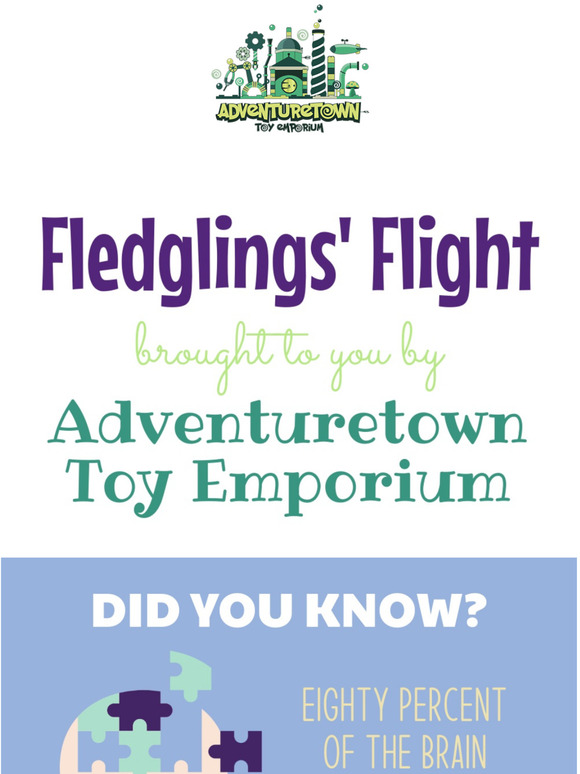 Introducing Fledglings' Flight