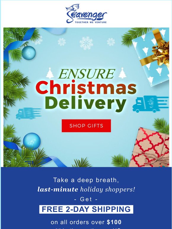 FREE 2-Day Rush Delivery