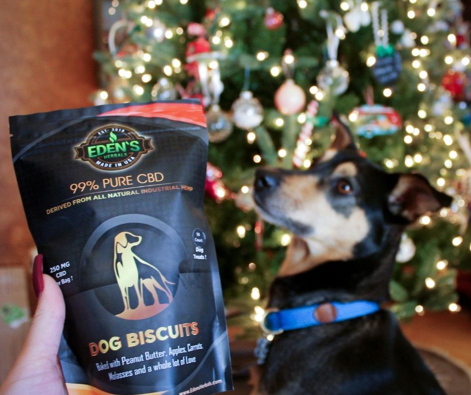 https://campaign-image.com/zohocampaigns/681838000009418006_zc_v36_1639510009373_dogtreatsxmas.jpg
