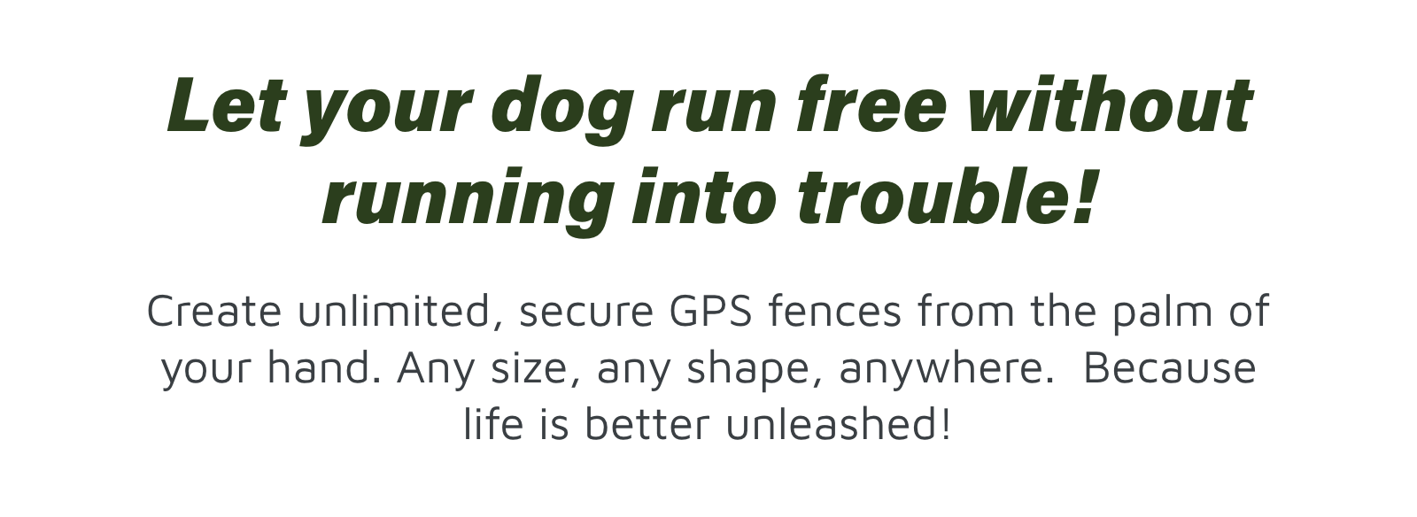 OnPoint Systems LLC Make your dog's day, every day! Save 100 on life