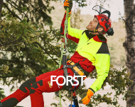 Forst