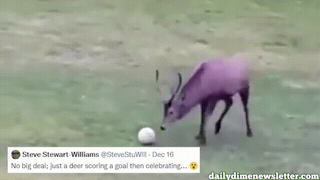Deer Score Goal, Celebrates, Smartly Avoids Taunting Penalty