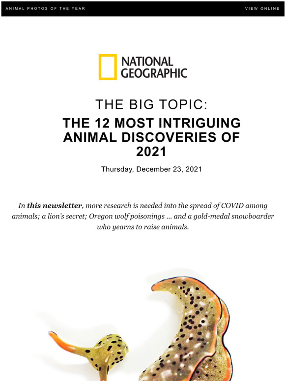 most amazing animal discoveries