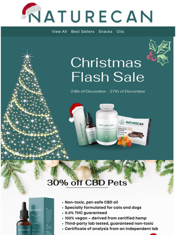 Email Exclusive Flash Sale!